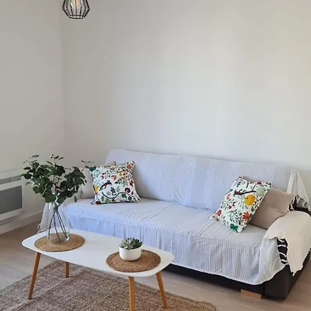 Appartement 75 Metres Carres Proche Gare Et Tram *